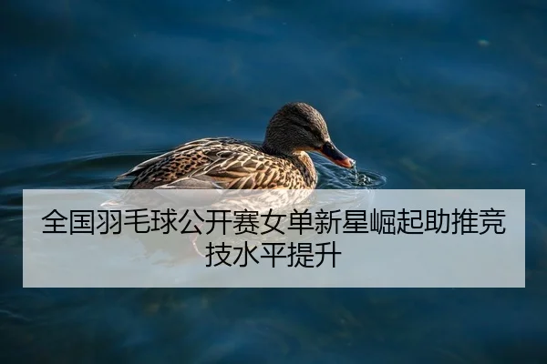 全国羽毛球公开赛女单新星崛起助推竞技水平提升 | Yihao